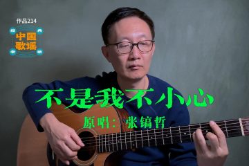 不是我不小心 吉他譜